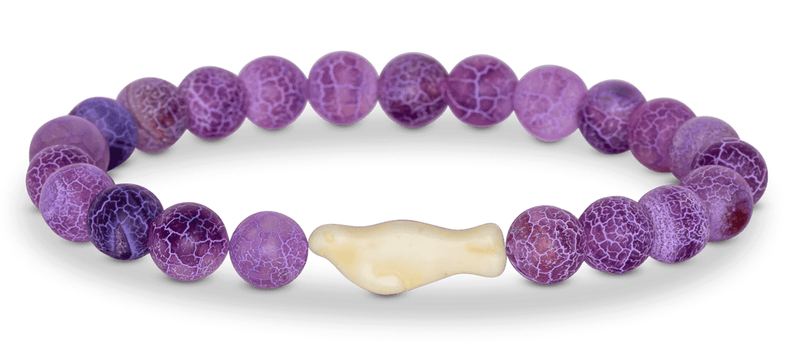 Fahlo The Glide Bracelet - Track a Seal - NorthBoys