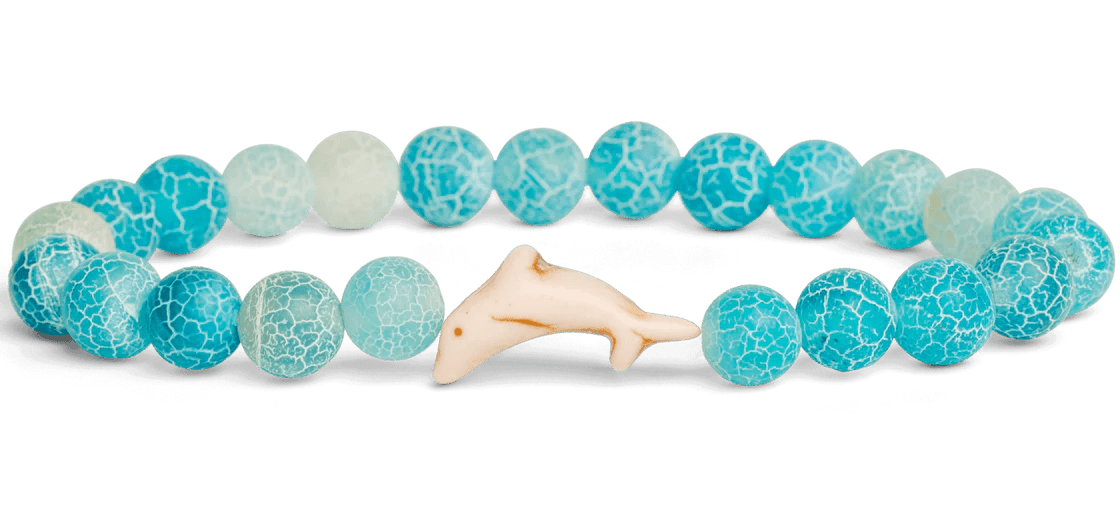 Fahlo The Odyssey Bracelet - Track a Dolphin - NorthBoys