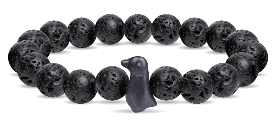 Fahlo The Passage Bracelet - Track a Penguin - NorthBoys