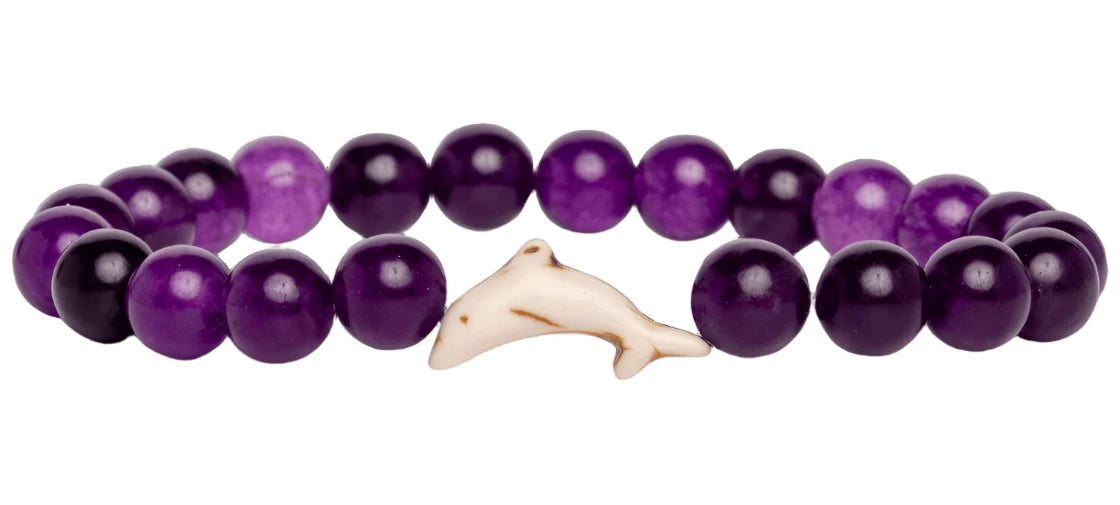 Fahlo The Odyssey Bracelet - Track a Dolphin