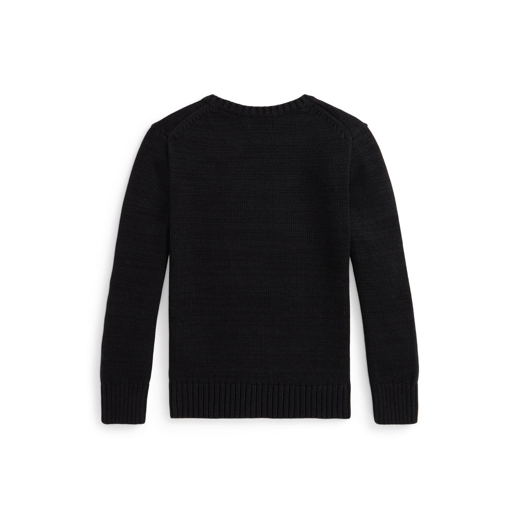 Ralph Lauren Boys Polo Bear Sweater