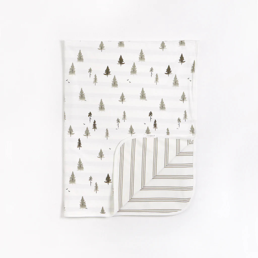 Petit Lem Baby Reversible Dyed Stripe Jersey Blanket _Green 22FRG24908-800