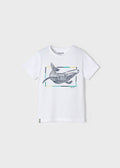 Mayoral Mini T-Shirt w/ Whale Graphic_ White 3010 - 56 - NorthBoys