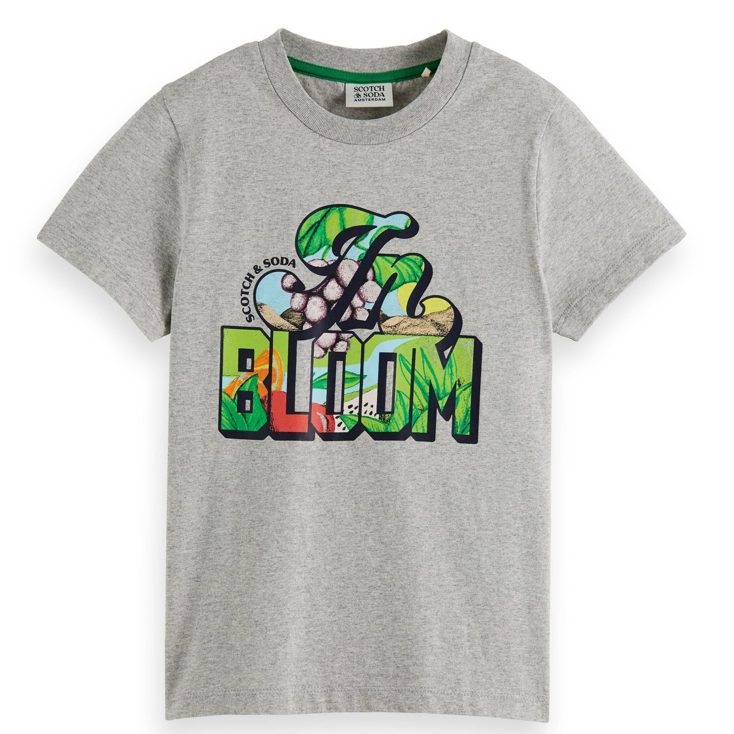 Scotch & Soda Boys T-Shirt_Grey 170537-0606
