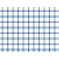 Tallia Boys White/Green Plaid Dress Shirt