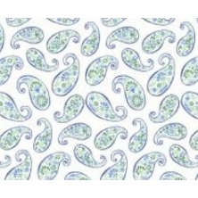 Tallia Boys White/Green Paisley Dress Shirt
