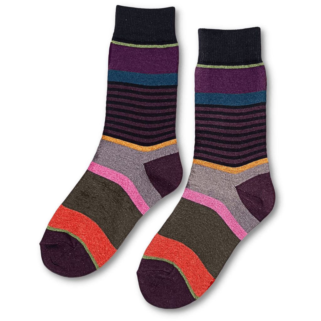 Vannucci Boys Striped Grey/Purple Socks _SS1203 - NorthBoys